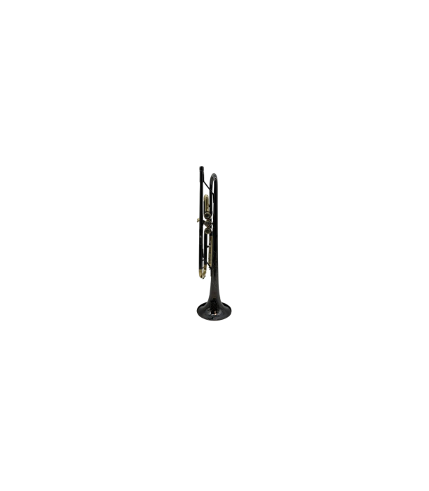 Parrot TR 01 BN [3]