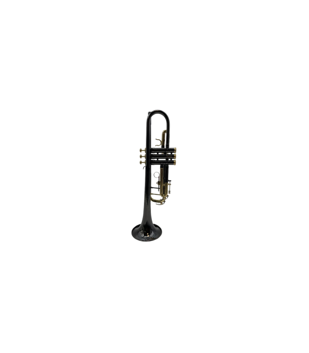Parrot TR 01 BN [2]