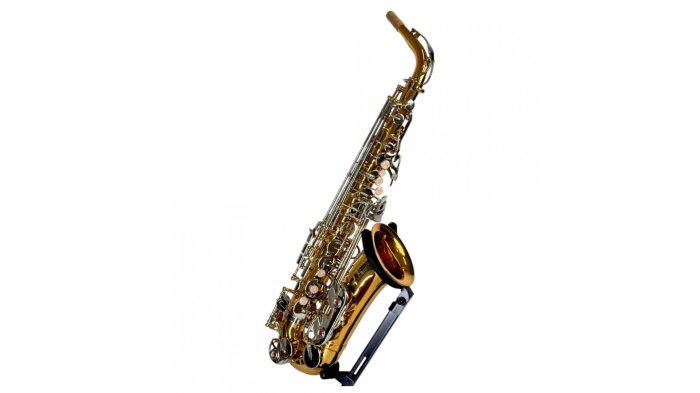 Parrot TY810 Two-Tone Sax Alto [5]
