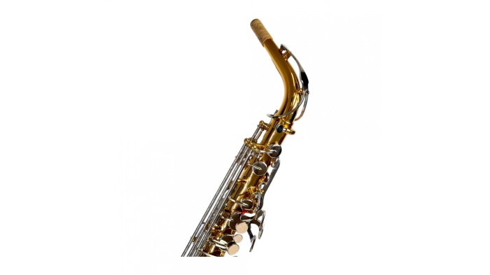 Parrot TY810 Two-Tone Sax Alto [4]