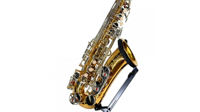 Parrot TY810 Two-Tone Sax Alto [6]