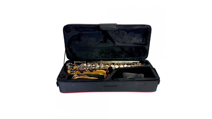 Parrot TY810 Two-Tone Sax Alto [7]