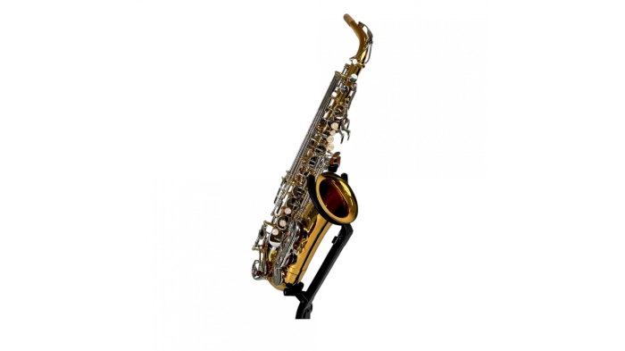 Parrot TY810 Two-Tone Sax Alto [2]