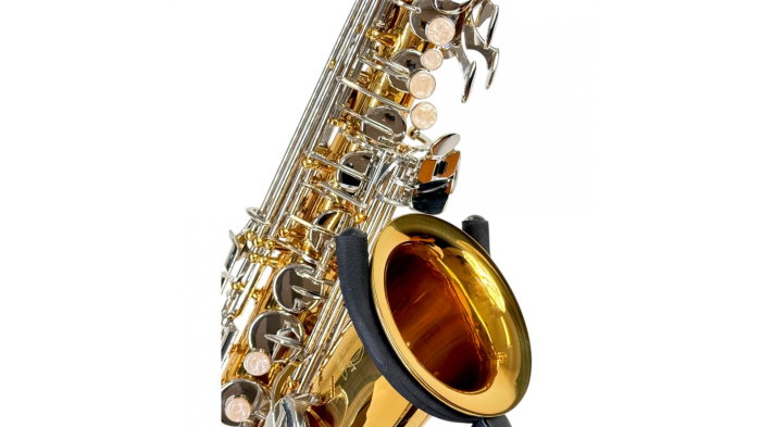 Parrot TY810 Two-Tone Sax Alto [3]
