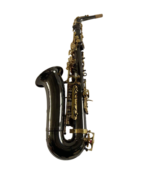 Parrot WFG375 Bk Nickel Gold Two-Tone Sax Alto [2]
