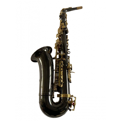 Parrot WFG375 Bk Nickel Gold Two-Tone Sax Alto [2]