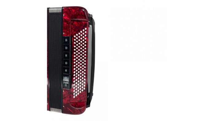 Parrot YW 9968 [6]