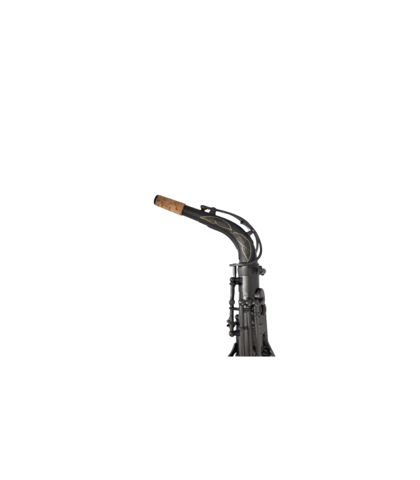 Parrot Z890 Alto Sax [3]