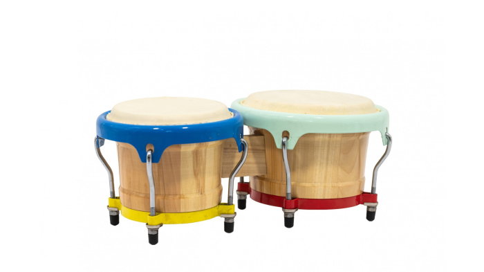 Parrot ZHB 105CS Bongo [3]