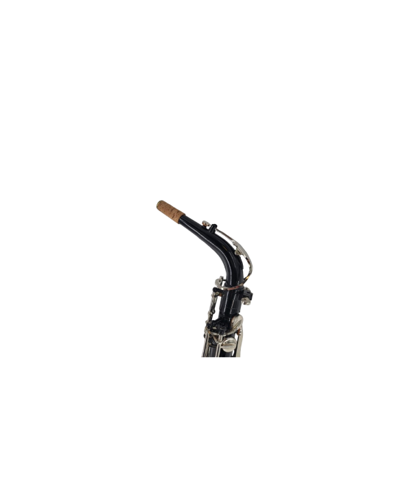 Parrot ZL 119 Sax Alto [3]