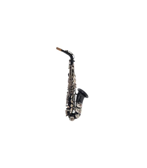 Parrot ZL 119 Sax Alto [2]