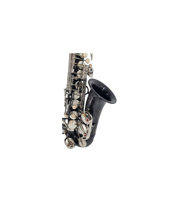 Parrot ZL 119 Sax Alto [2]