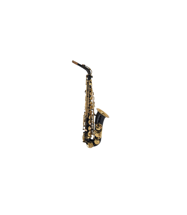 Parrot ZL 200 Alto Sax [3]