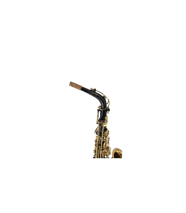 Parrot ZL 200 Alto Sax [3]