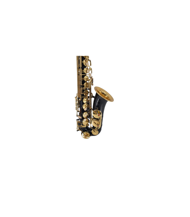 Parrot ZL 200 Alto Sax [2]
