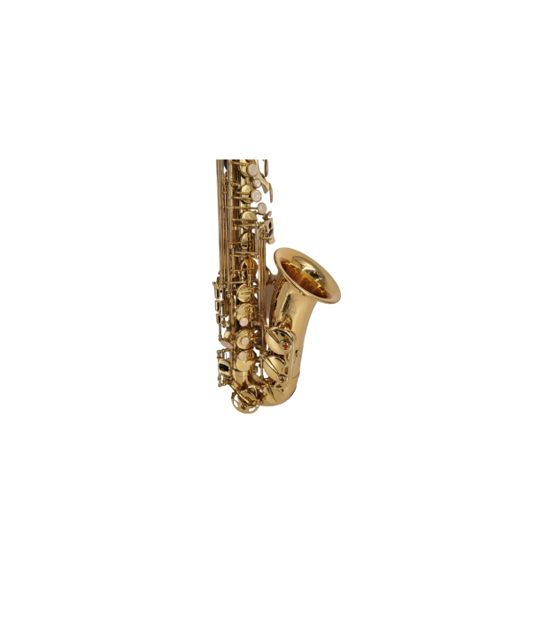 Parrot ZL118 Alto Sax Laquer [2]