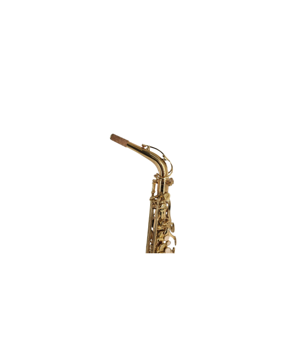 Parrot ZL118 Alto Sax Laquer [3]