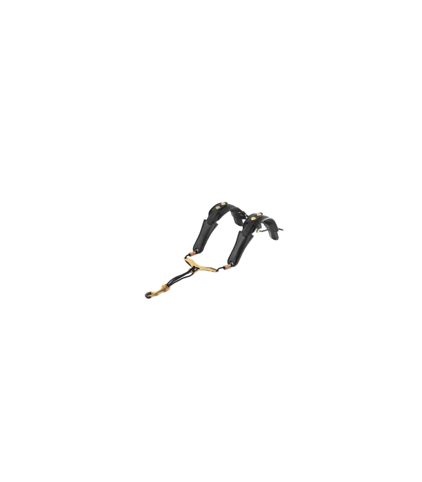Parrot ZL17 Strap Sax [2]