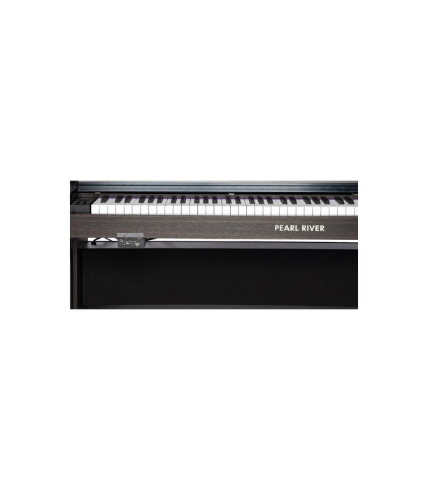 Pearl River F33 PRO [3]