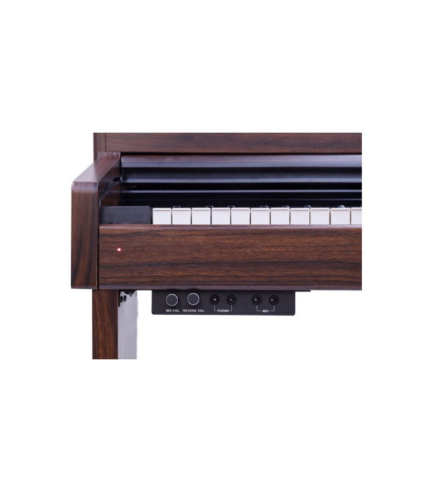 Pearl River F53 RW [4]
