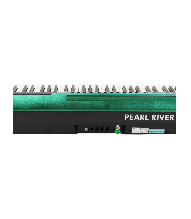 Pearl River P200 VD01 Green + 1 Pedal + U Stand [2]