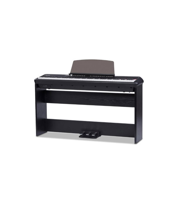 Pearl River P200 W-Stand BK [2]