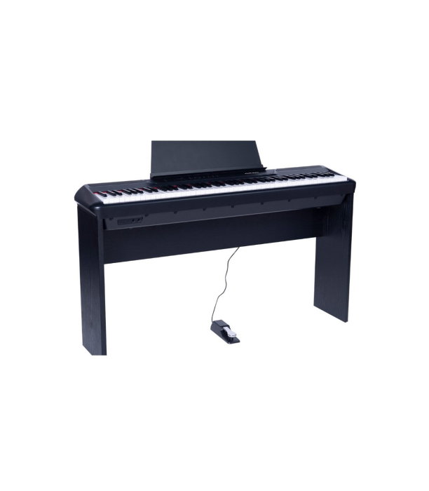 Pearl River P60 + 1 Pedal + W Stand BK [2]