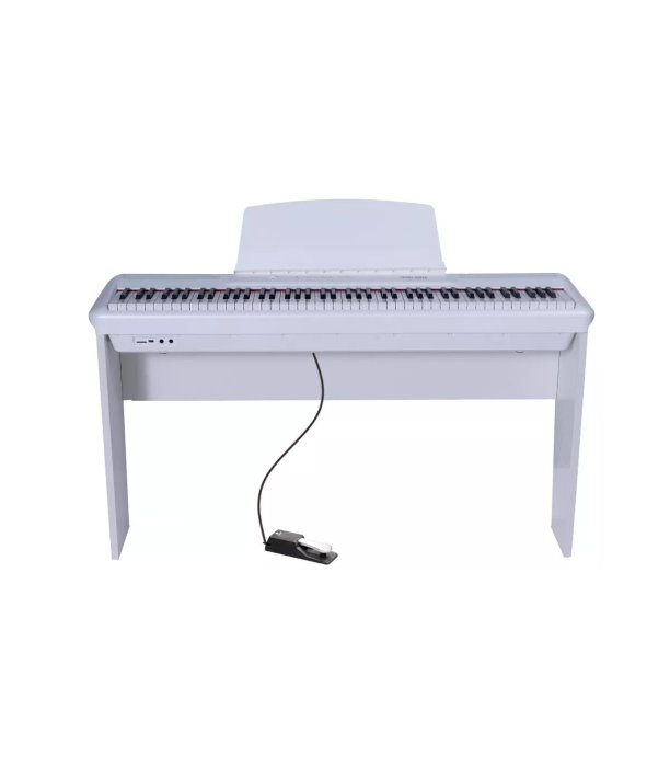Pearl River P60 + 1 Pedal + W Stand WH [2]