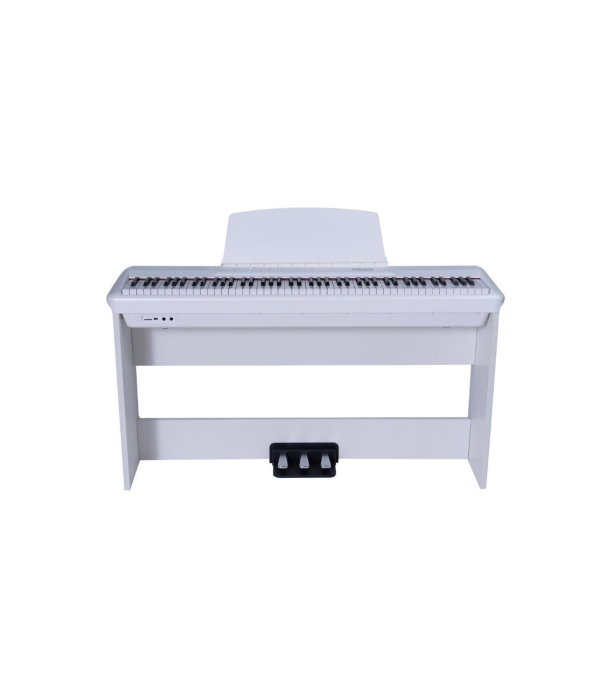 Pearl River P60 + 3 Pedal + W Stand WH [2]