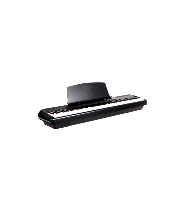 Pearl River P60 BK [2]