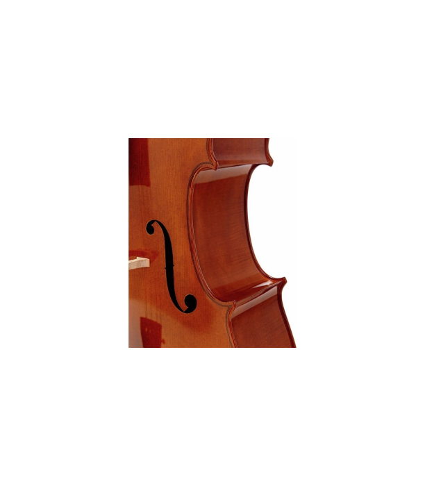 Pearl River PC-C01 4/4 Violoncel [3]