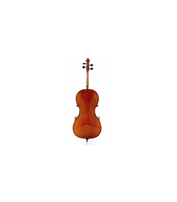 Pearl River PC-C01 4/4 Violoncel [2]