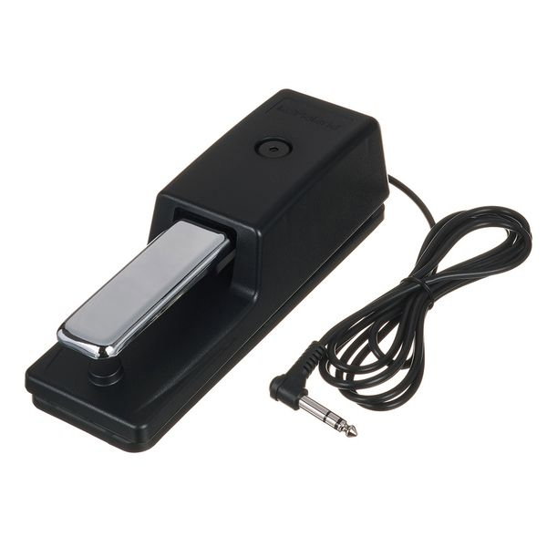 Pedala Roland DP-10 [9]
