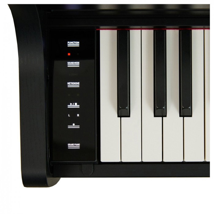 Pian digital Casio AP-300 BK Celviano [7]