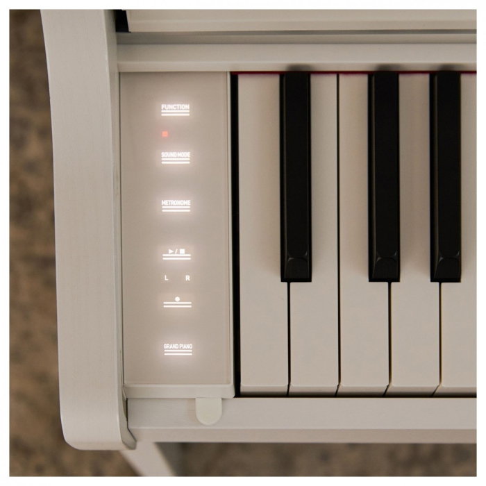 Pian digital Casio AP-300 WE Celviano [9]