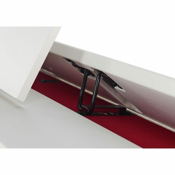 Pian digital Casio AP-470 WE Celviano [15]