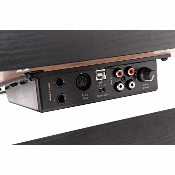 Pian digital Hemingway DP-501 MKII AT [17]