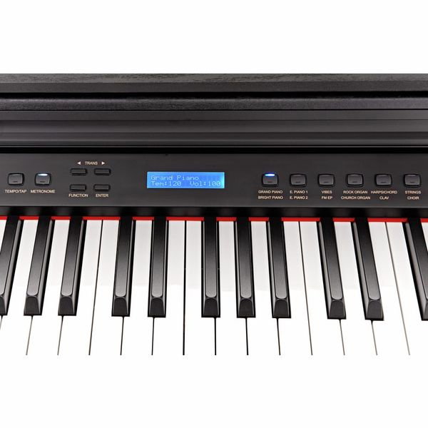 Pian digital Hemingway DP-501 MKII AT [13]