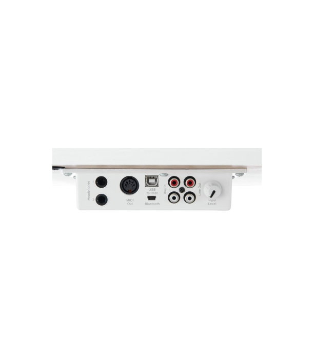 Pian digital Hemingway DP-501 MKII WH, alb mat [15]