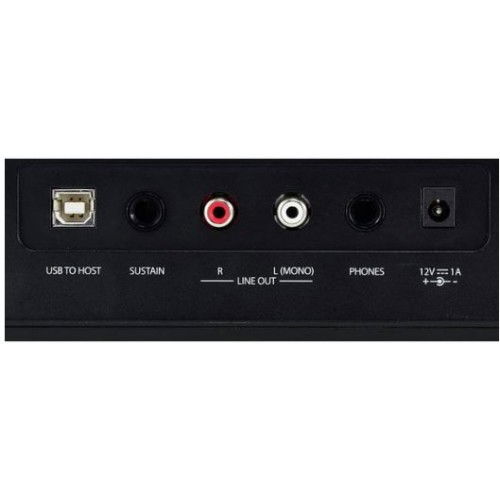 Pian Thomann SP-120 [3]