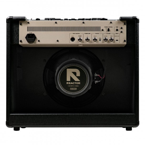 Positive Grid REACTOR 100 [3]