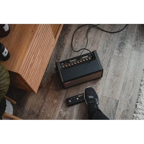 Positive Grid Spark Control [4]