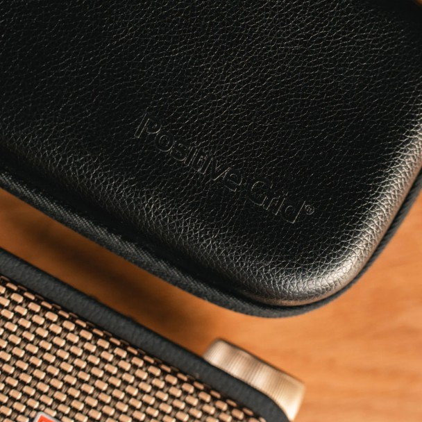 Positive Grid Spark Go Case [2]