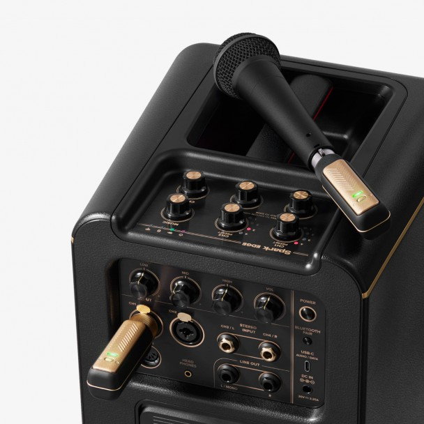 Positive Grid Spark LINK XLR [5]