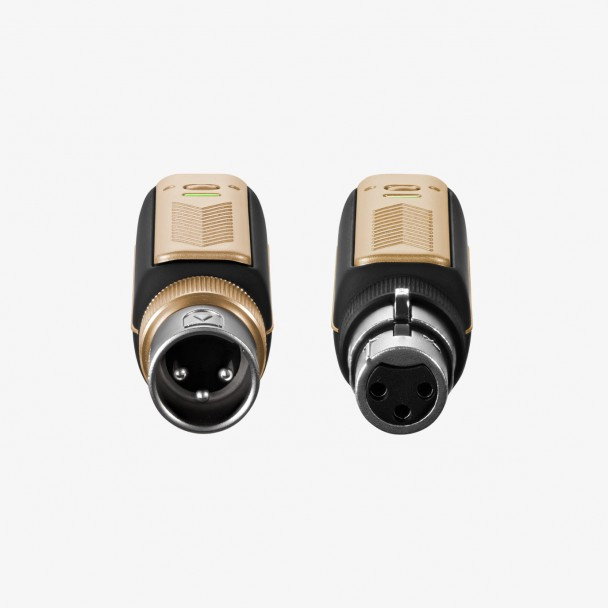 Positive Grid Spark LINK XLR [2]