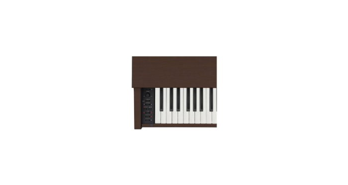 Pian digital Casio AP-270 BN Celviano [3]