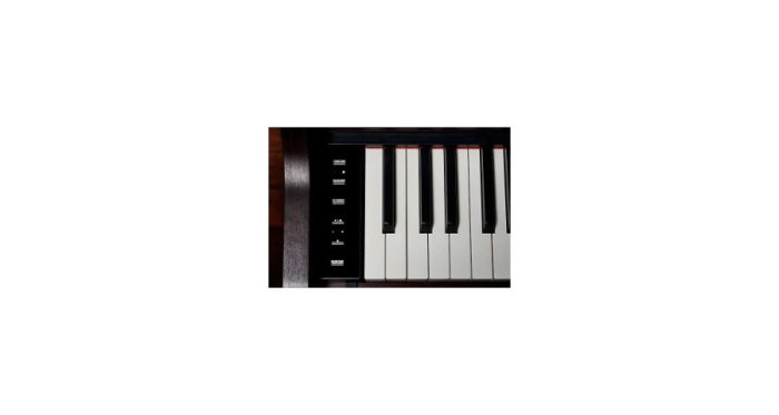 Pian digital Casio AP-550 BN Celviano [4]