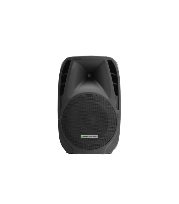 Pronomic PH15 Passive Speaker 190/350 Watts [2]