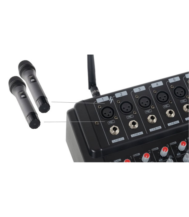 Pronomic Powermake 600 with Wireless Microphones [5]