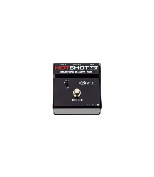 Radial Engineering HotShot DM1 [3]